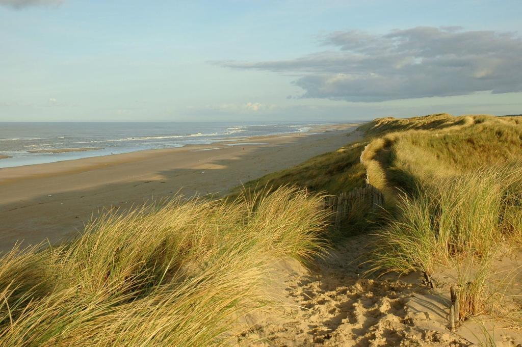 Hotel De Dennen Egmond aan Zee Extérieur photo